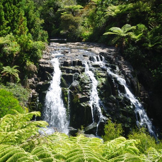Owharoa Falls Scenic Reserve