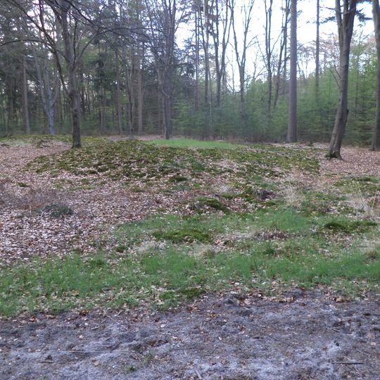 Grafheuvels aan de Eelerbergweg