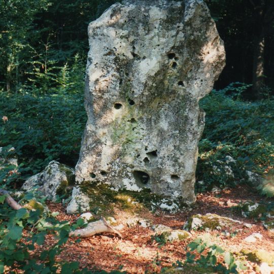 Menhir du Cheval Gris