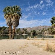 Arizona'daki Phoenix şehir ve doğa cazibe merkezleri