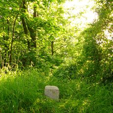 VIII. Burgfriedensstein