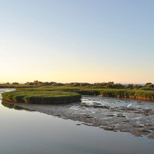 Parco regionale veneto del Delta del Po