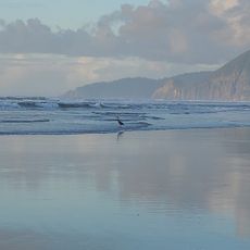 Nehalem Beach