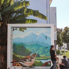 Oiseaux