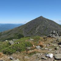 Low and Burbank's Grant