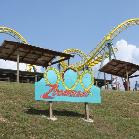 Zoomerang