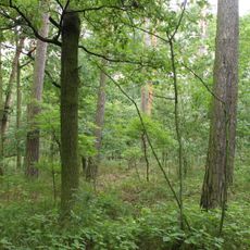 Přesyp u Malolánského