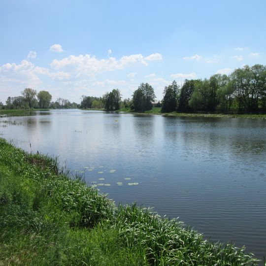 Prosna
