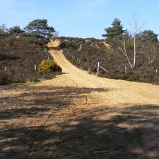 Hankley Common