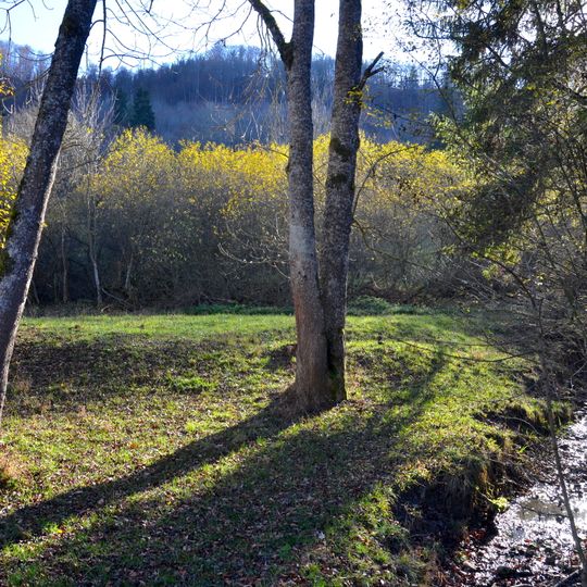 Scharlenbachtal-Hofwald