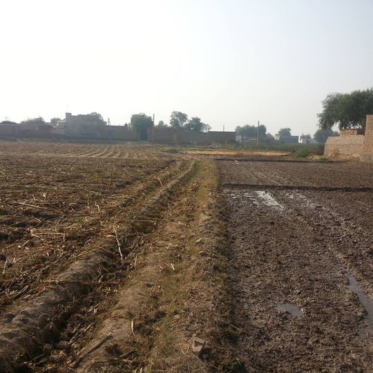 Kahror Pakka Tehsil