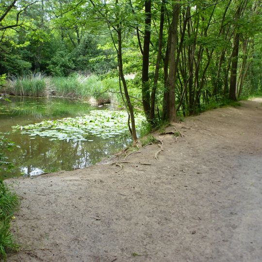 Teich beim Dornhaldenfriedhof