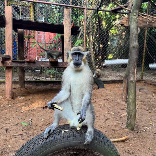 Libassa Wildlife Sanctuary