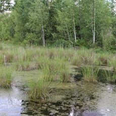 LSG "Hochrunstfilze"