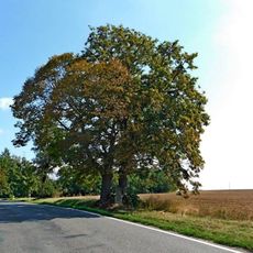 Kříž u zemědělského družstva ve Zdislavicích