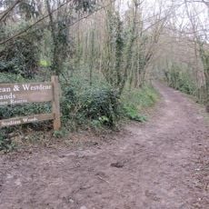 Withdean and Westdene Woods