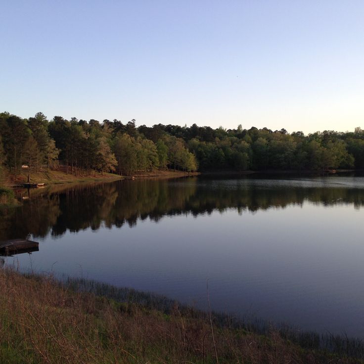 Holly Springs National Forest