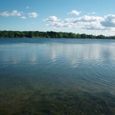 Wilcox Lake