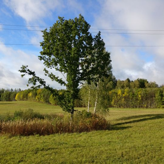 Gambu viduslaiku kapsēta