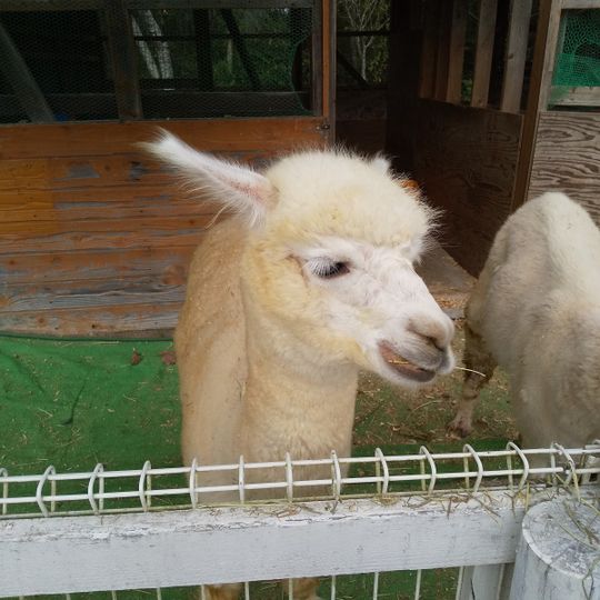 動物ふれあい広場