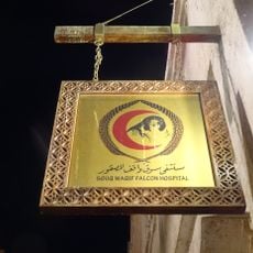 Souq Waqif Falcon Hospital