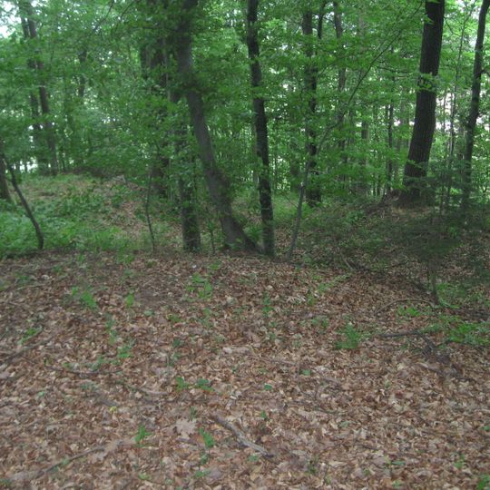 Rimskodobno gomilno grobišče Zorkov gozd