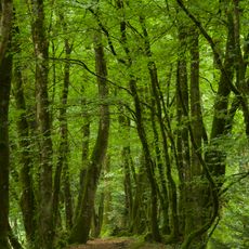 Réserve naturelle régionale des landes, prairies et étangs de Plounérin