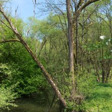 Itztal und Effeldertal bei Weißenbrunn vorm Wald