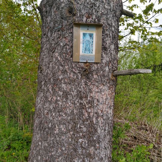Obrázek u bývalého Černíkova