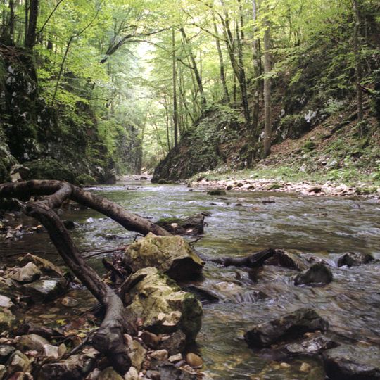 Parco nazionale di Semenic-Cheile Carașului