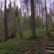Vikmeste hillfort
