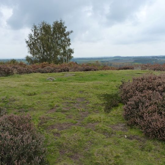Saucer barrow on Spring Hill