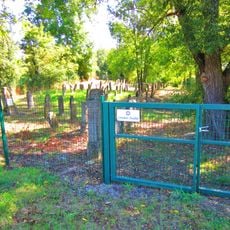 Delme old Jewish cemetery