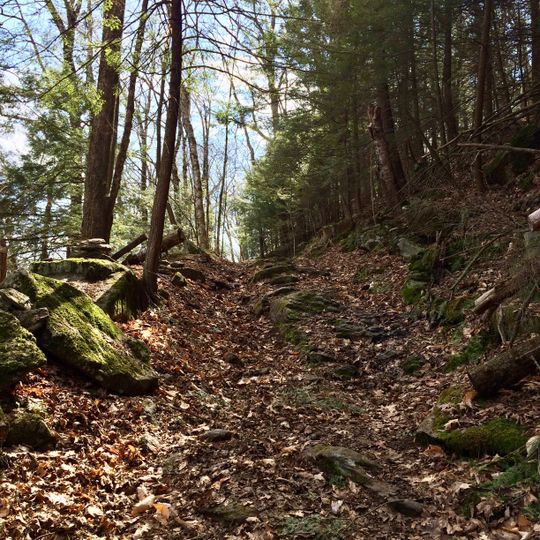 Housatonic State Forest