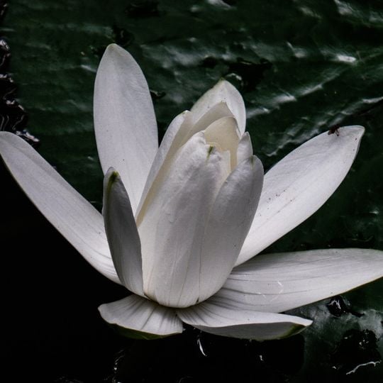 Archaeology and Ethnography collections of Museu Paraense Emílio Goeldi
