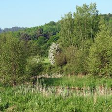 Säulingssee bei Kleinensee