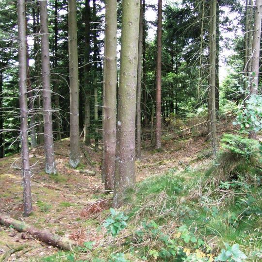 Site de hauteur de Varrinchâtel