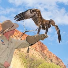 Alice Springs Desert Park