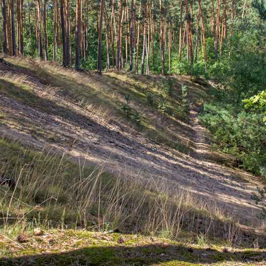 Sandfluren bei Volkach, Schwarzach am Main und Sommerach