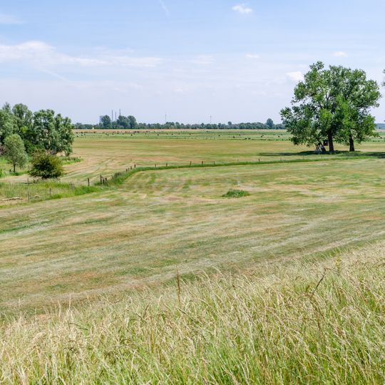 Rheinvorland östlich von Wallach