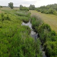 Oblivsky (rural locality)