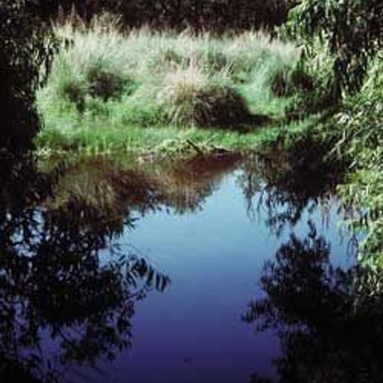 Las Cienegas National Conservation Area