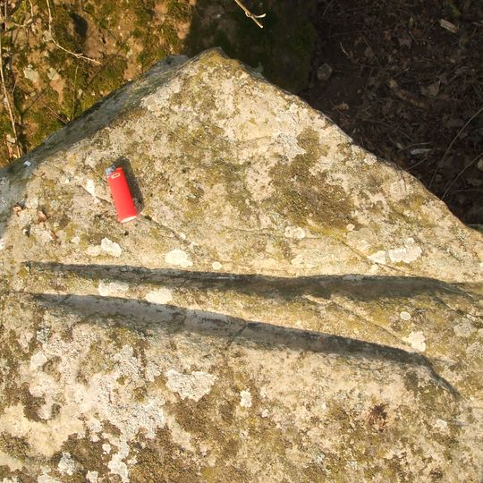 Polissoirs de la Fosse à la Cardine