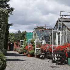 Jardin botanique de Wrocław