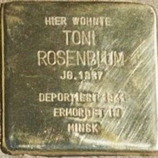Stolperstein en memoria de Toni Rosenblum