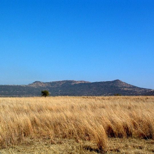 Spioenkop Dam Nature Reserve