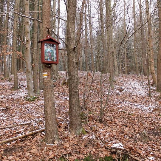 Obrázek u Bouzova na okraji lesa