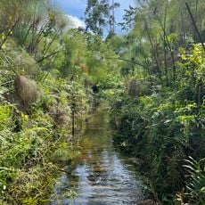 Bigodi Wetland Sanctuary