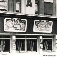 Cinema Nova
