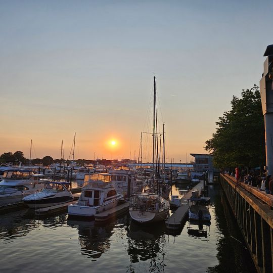 Hank’s Oyster Bar